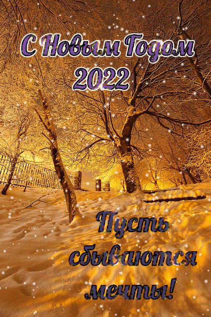    2022 