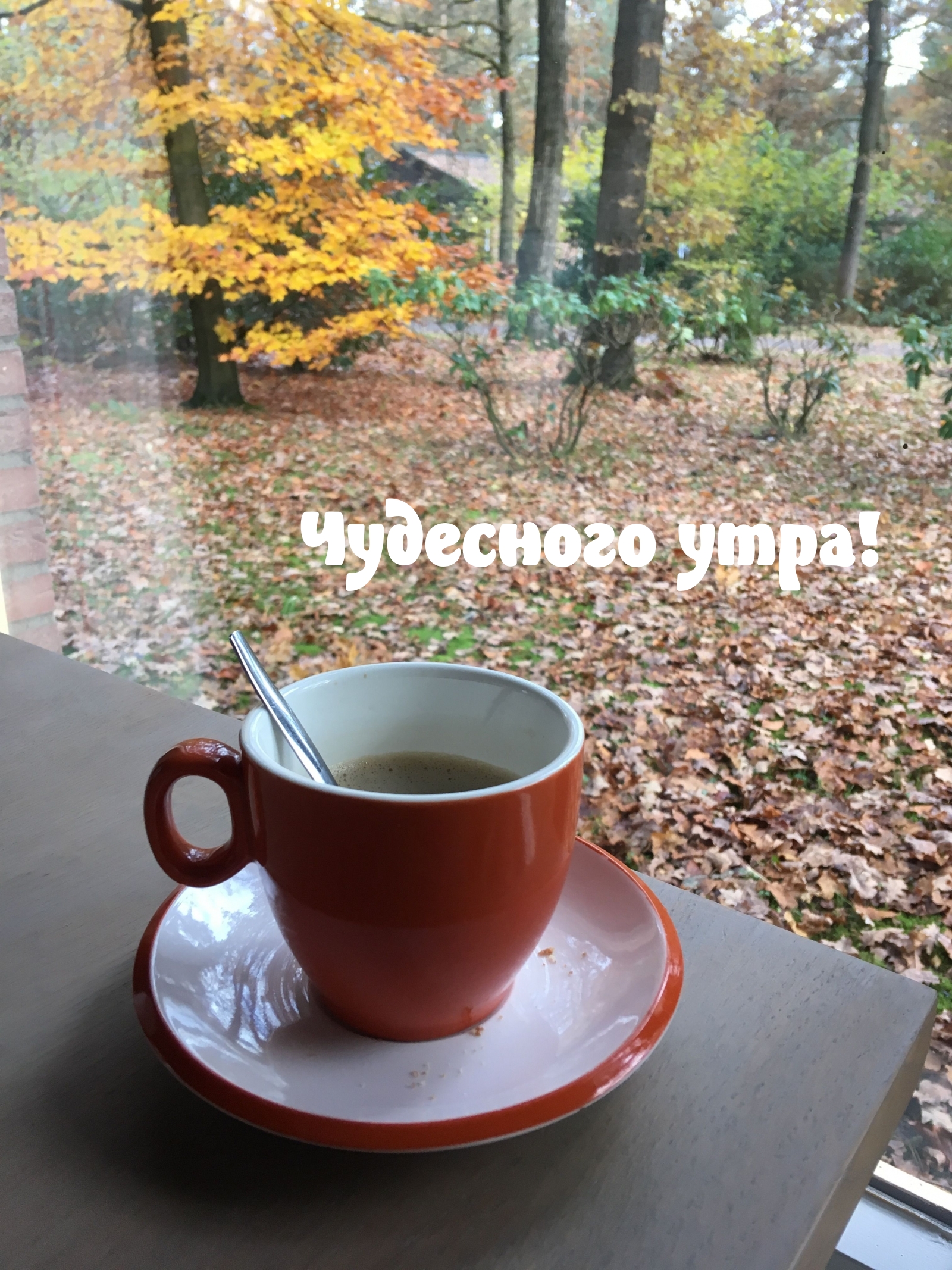 Чудесного утра!