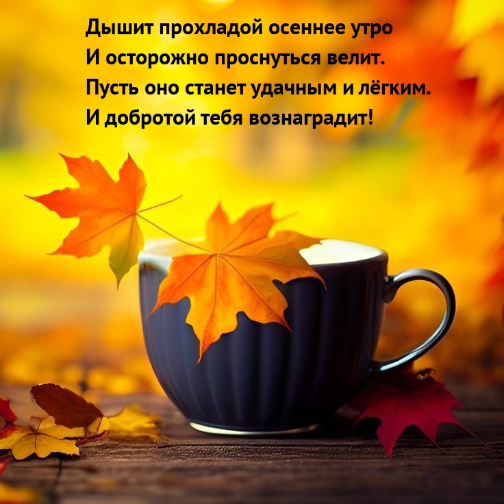 Дышит прохладой осеннее утро и осторожно проснуться велит. Дышит прохладой осеннее утро и осторожно проснуться велит.