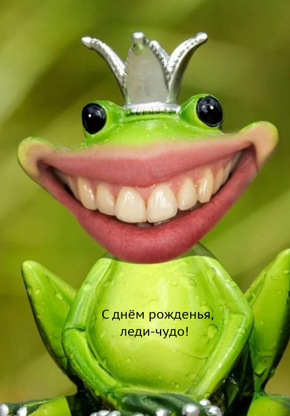 С днём рожденья, леди-чудо! С днём рожденья, леди-чудо!