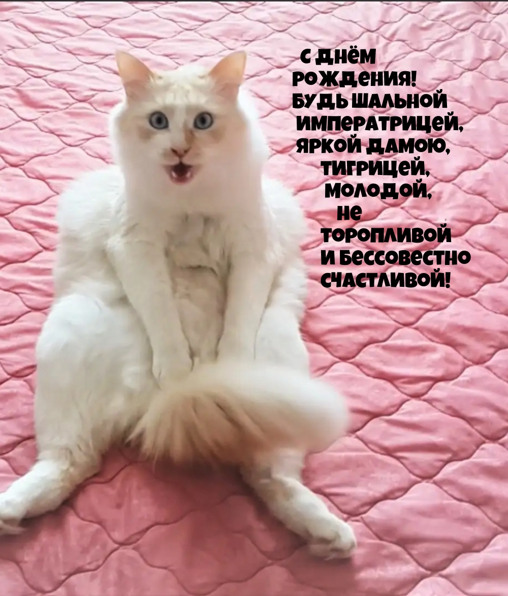 С днём рождения! Будь шальной императрицей С днём рождения! Будь шальной императрицей