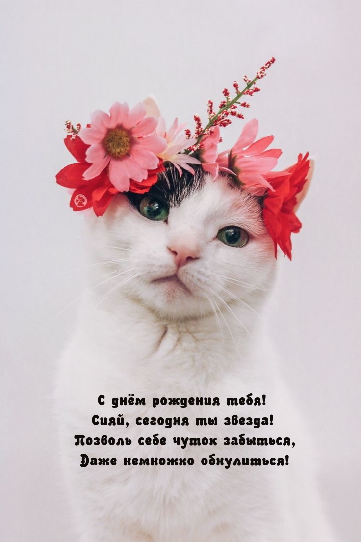 С днём рождения тебя! Сияй, сегодня ты звезда! С днём рождения тебя! Сияй, сегодня ты звезда!