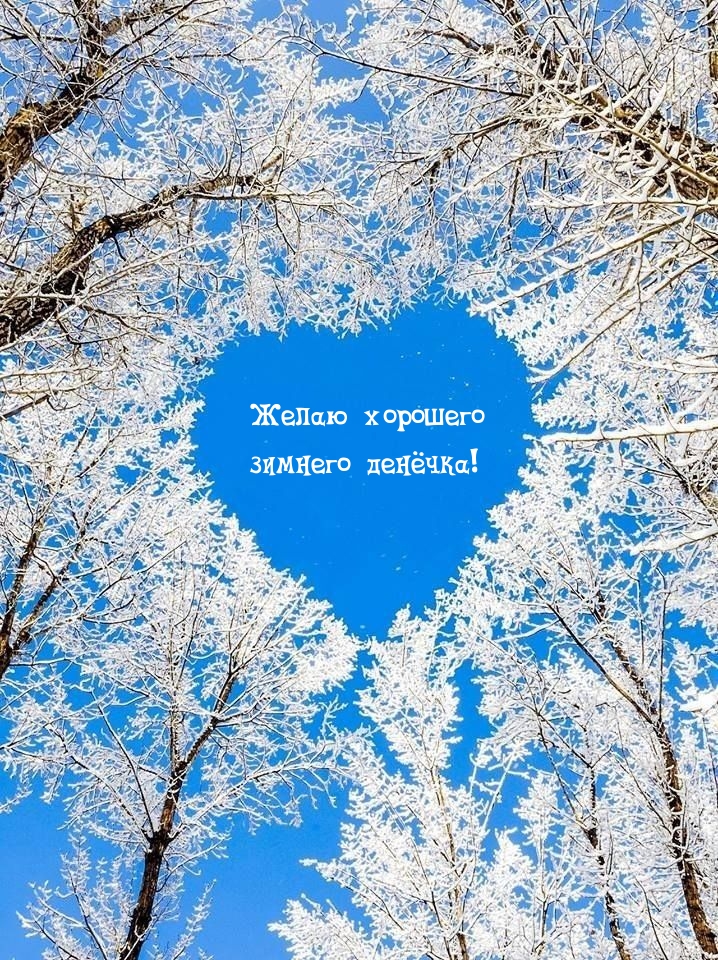 Желаю хорошего зимнего денёчка! Желаю хорошего зимнего денёчка!