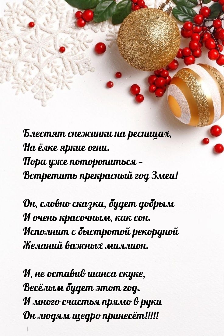Пора уже поторопиться — встретить прекрасный год Змеи! Пора уже поторопиться — встретить прекрасный год Змеи!