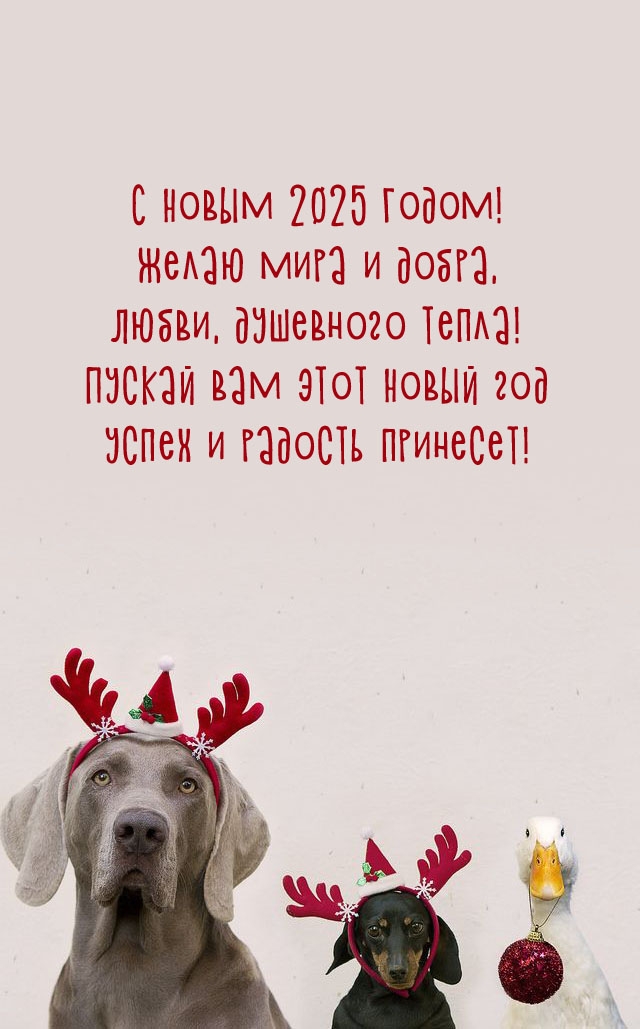 С Новым 2025 Годом! Желаю мира и добра, любви, душевного тепла! С Новым 2025 Годом! Желаю мира и добра, любви, душевного тепла!