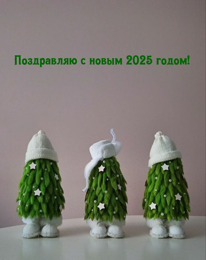 Поздравляю с новым 2025 годом! Поздравляю с новым 2025 годом!