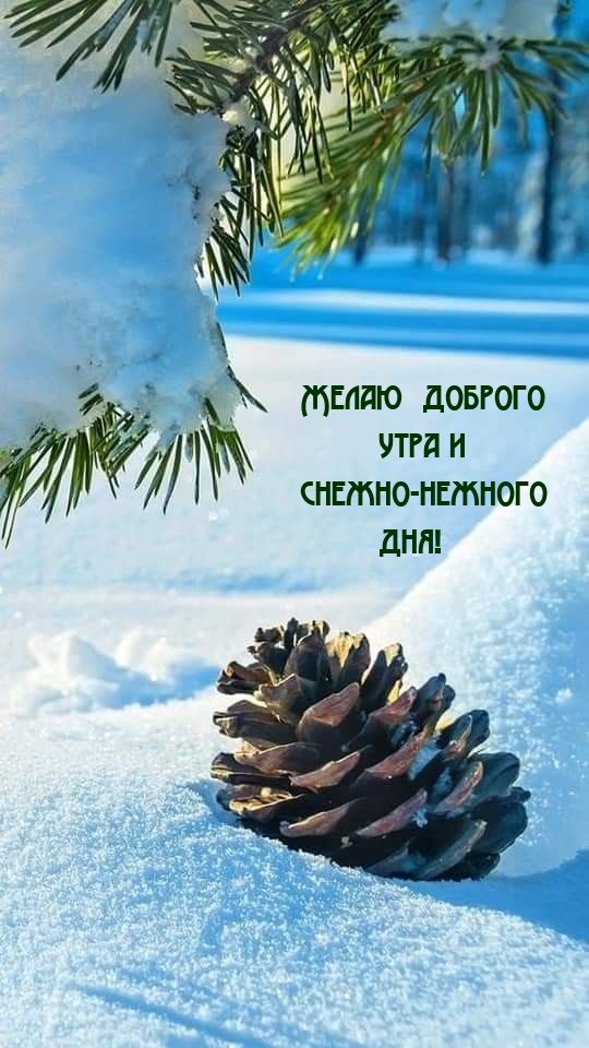 Желаю доброго утра и снежно-нежного дня! Желаю доброго утра и снежно-нежного дня!