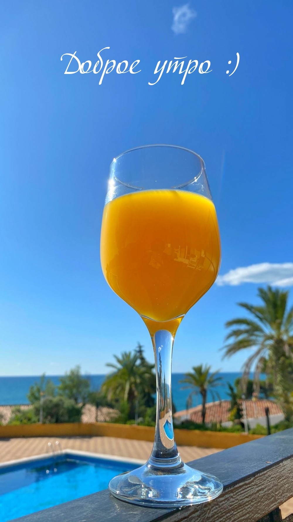 ������ ���� :)