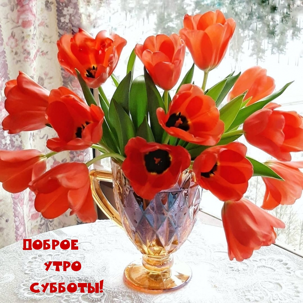 ������ ���� �������!