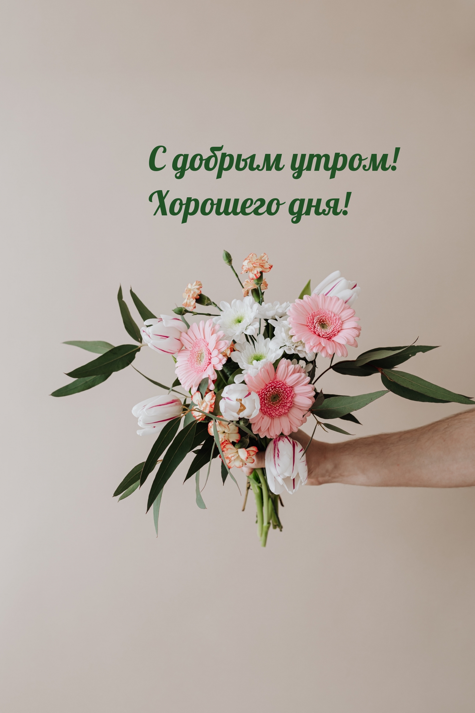 � ������ �����! �������� ���!