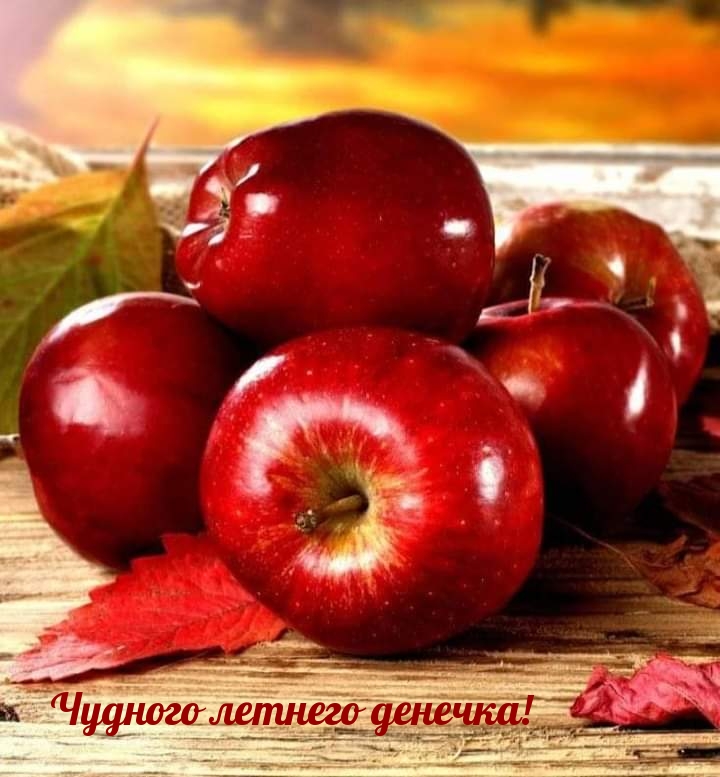 ������� ������� �������!