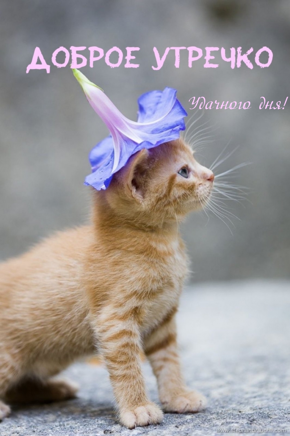 �������� ���!