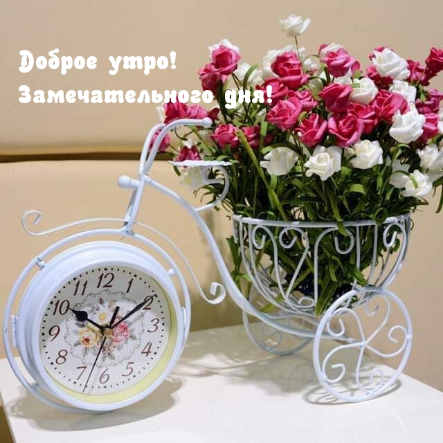 ������ ����! �������������� ���!