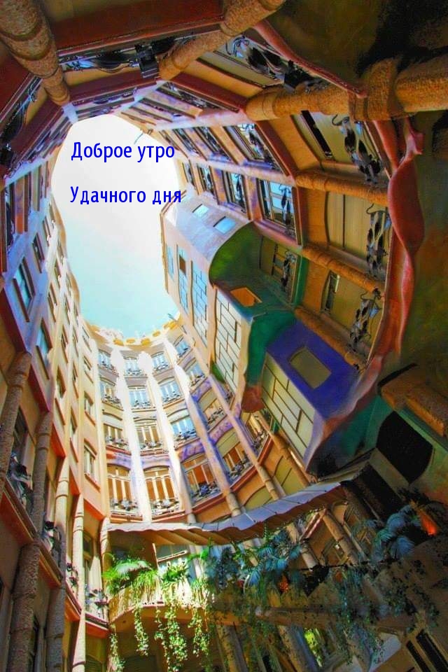 ������ ���� �������� ���