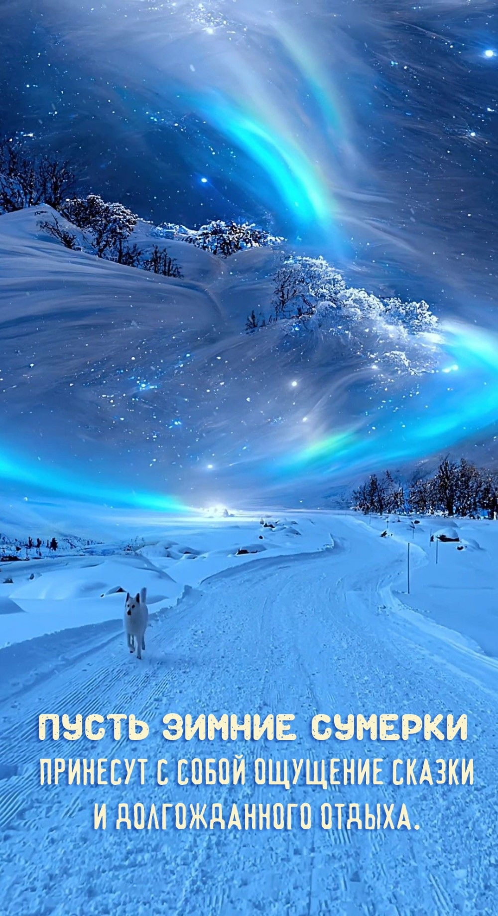 ������� ������ (������) title='������� ������ (������)'