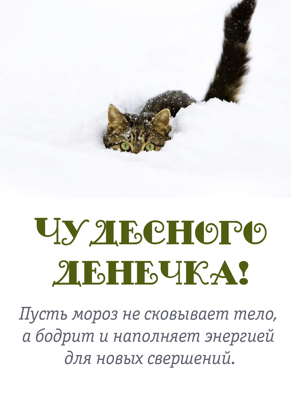 ����� ����� �� ��������� ����, � ������