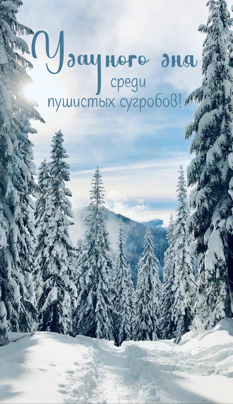 Удачного дня среди пушистых сугробов!