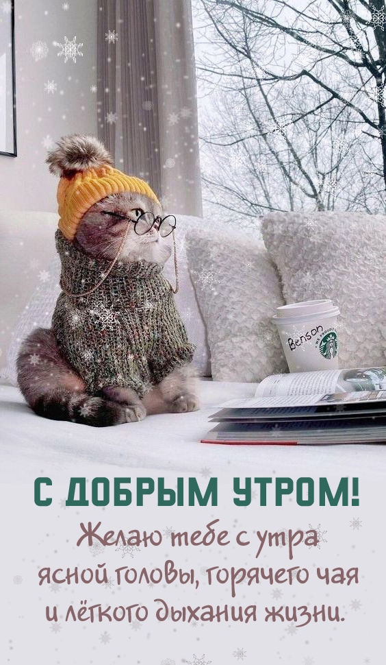 ����� ���� � ���� ����� ������, �������� ��� � ������ �������