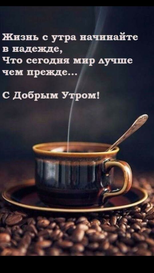 � ������ ����� ������ ��������